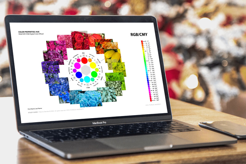 Student produced a digital RGB/CMY digital color wheel collage in Adobe Illustrator. 